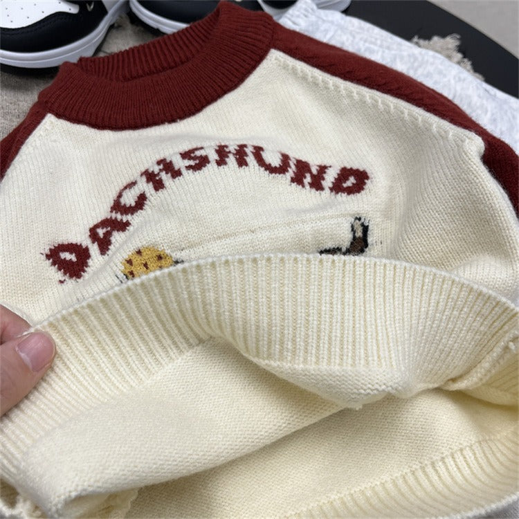 Boys Red and White Knit Sweater Colorblock Pullover with Puppy Print