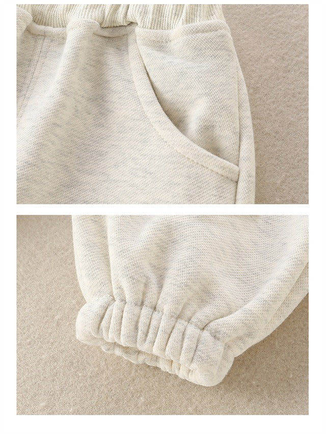 Baby Boy Two-Piece Set Outfit with 3D Dog Pattern Fleece-Lined Grey Pullover and Pants