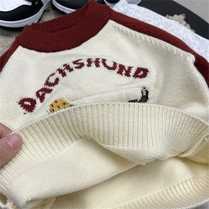 Boys Red and White Knit Sweater Colorblock Pullover with Puppy Print